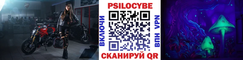 Псилоцибиновые грибы мицелий  Салехард 